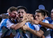 开云下载-美洲杯半决赛，阿根廷队战胜巴西队晋级决赛的简单介绍