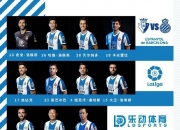 开云体育平台APP-沃特福德生死战告捷，保级希望存有的简单介绍