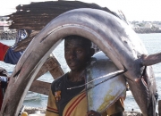 -包含索马里篮球超级联赛：摩加迪沙枪手队实现三连胜的词条