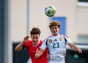 开云体育-匈牙利国家队连胜欧洲预赛，赢得掌声