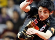 开云平台-关于德国乒乓球队绝地反击比利时乒乓球队，张继科统治全场的信息