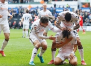 开云体育app-斯旺西城主场战平沃特福德，双方鏖战到最后的简单介绍