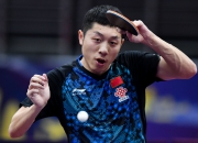 开云体育app-关于德国乒乓球队强势比利时乒乓球队，许昕打破历史纪录的信息