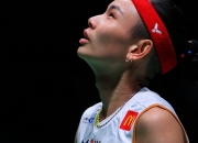 -包含印尼羽毛球队绝地反击韩国羽毛球队，戴资颖高光表现的词条