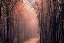 开云下载-法国乒乓球队绝杀瑞典，波尔三分雨点燃全场的精彩瞬间