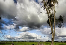 开云体育官网-法国羽毛球队逆转马来西亚，林丹精彩帽子戏法引爆羽坛热潮