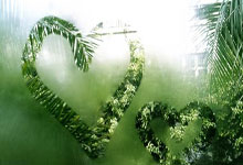 开云APP-中国羽毛球队碾压印度羽毛球队，陶菲克爆发神勇