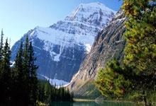 开云下载-欧洲网球队绝杀世界网球队，穆雷完成帽子戏法