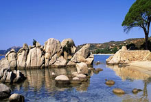 开云体育平台APP-法国男篮力克篮网B队，丹尼·格林统治全场：一场篮球的精彩对决与精神荣耀