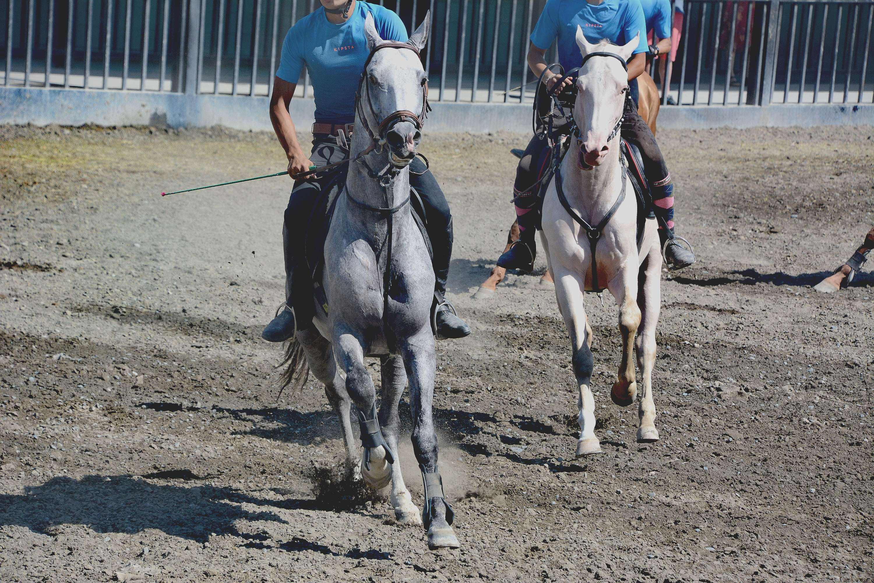关于梅州骁勇：韶凯骁勇队表现抢眼，战力备战的信息