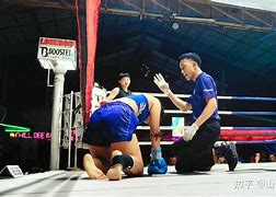 包含沃林顿维赛火强打，笨鸟奮力阻排手的词条