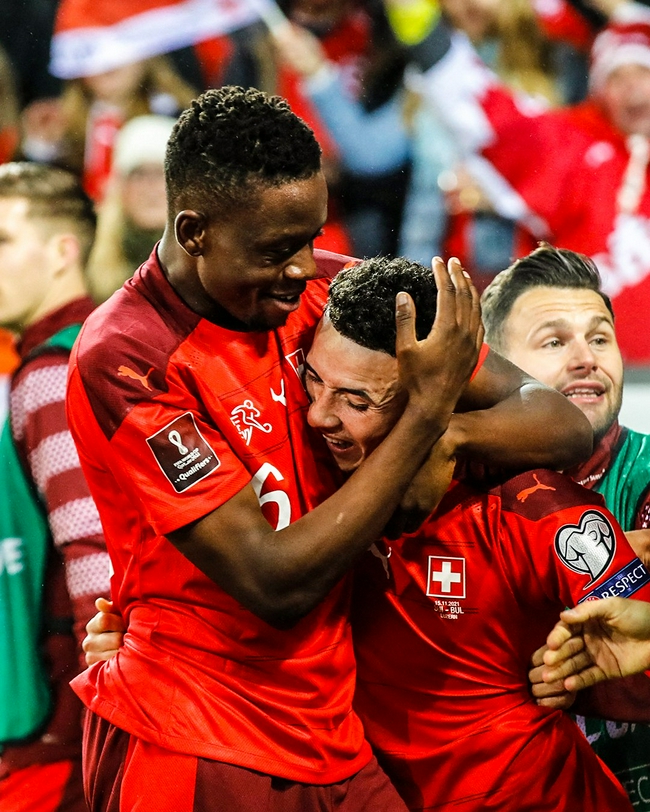 瑞士队客场1-0战胜爱尔兰队