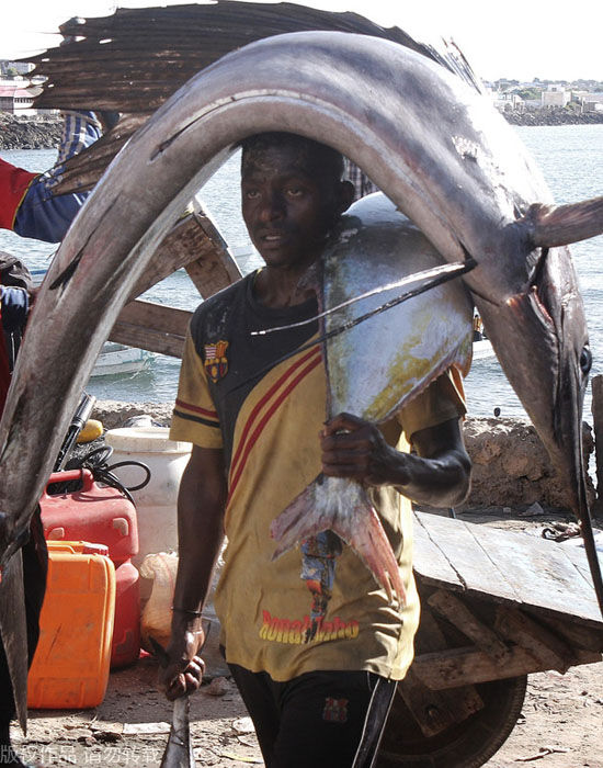 包含索马里篮球超级联赛：摩加迪沙枪手队实现三连胜的词条