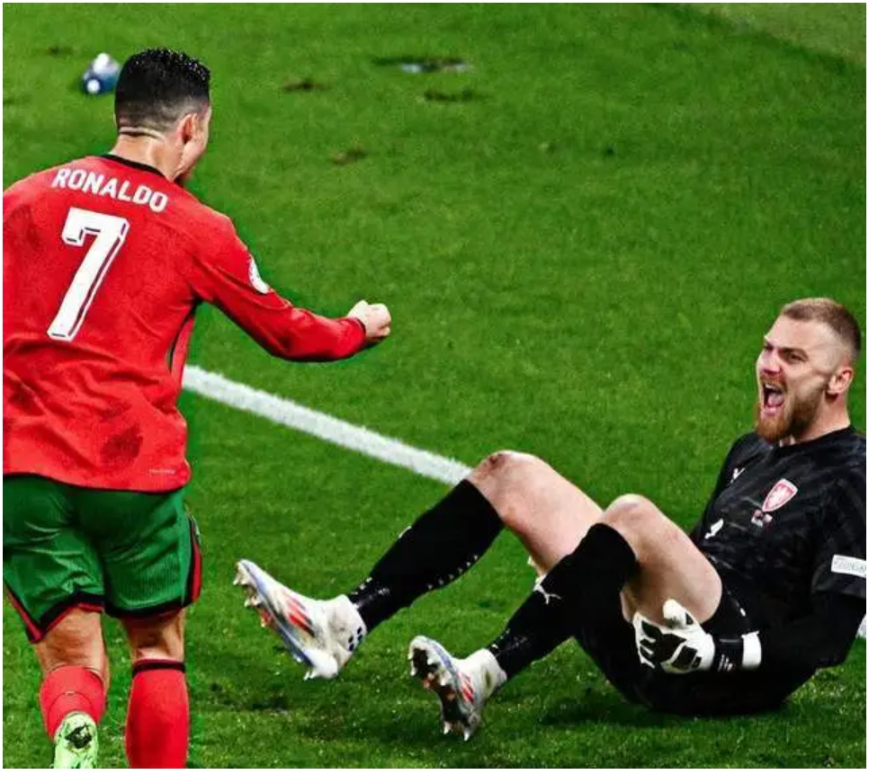 捷克队迎战葡萄牙,不畏艰难的简单介绍